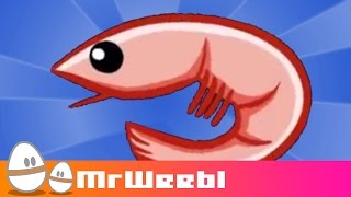 Shrimp Glockenspiel  animated music video  MrWeebl [upl. by Lewis]