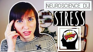 Le Stress Et Le Cerveau  4 Découvertes Scientifiques A Connaître [upl. by Sophy]