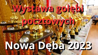 WYSTAWA GOŁĘBI POCZTOWYCH  NOWA DĘBA 2023 [upl. by Landis676]