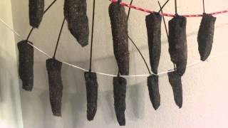 Biltong  Curing on Day Three [upl. by Hunley489]