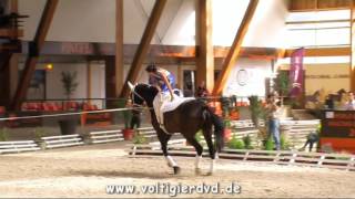 Carola Sneekes NED  Female 14  FEI Senior WC Le Mans 2016 [upl. by Ajaj]