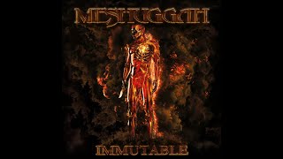 MESHUGGAH  IMMUTABLE 2022 FULL ALBUM HIGHEST QUALITY VINYL RIP [upl. by Annawaj]