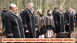 Geltona žalia raudona  Alytaus rajono kultūros centras [upl. by Siari176]