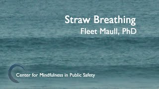 CMPS MBWR Straw Breathing [upl. by Haleemak]