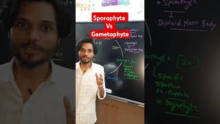 Sporophyte Vs Gametophyte 🔥✨ k2institute viral biology shorts biology11 [upl. by Joelle]