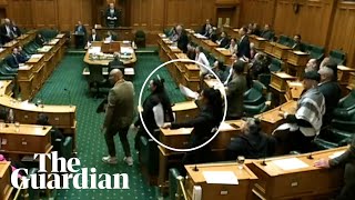 MP rips up bill leads haka as NZ parliament erupts over Waitangi treaty bill [upl. by Avat559]