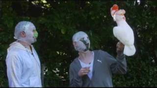 The Rubberbandits Guide to Birds [upl. by Curnin]