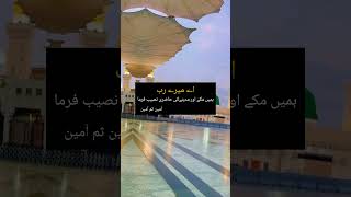 MashaAllah SubhanAllah beautiful videos viralvideo naatstatus shortsshortsyoutube [upl. by Nam953]