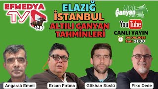 07082024 ÇARŞAMBA ELAZIĞ İSTANBUL ALTILI GANYAN TAHMİNLERİ [upl. by Acila]