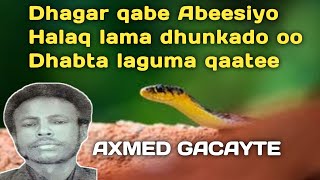 gacayte  axmed gacayte dhagar qabe  gacayte anigoo dhalaano  gacayte heesta dhedo roob ma noqoto [upl. by Kred]