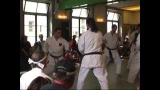 Power of ShukokaiKarate [upl. by Grous]