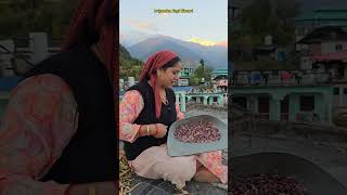 Pahadi Rajma  minivlog food [upl. by Anihta863]