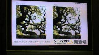 CP2011：市川ソフトラボラトリー「SILKYPIX Developer Studio Pro5」紹介 [upl. by Acie37]