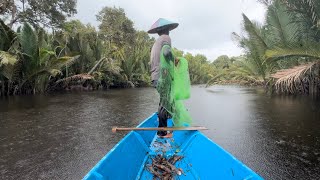 Awal Pagi Air Naik Pasang Menjala Udang Sungai Passin Umpan Mulong  Sekejap Saja Dapat Udang… [upl. by Nnylarat]