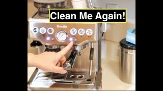 Clean Me Again   Breville Barista Express [upl. by Le]