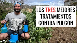 Los TRES MEJORES INSECTICIDAS CONTRA PULGONES ecológicos baratos y fáciles de usar  en20metros [upl. by Line480]