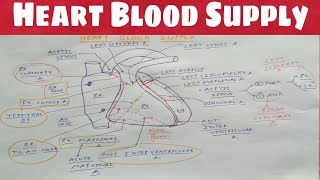 Heart Blood Supply 1  Right Coronary Artery  TCML  Dr Pawan nagar [upl. by Kubetz]