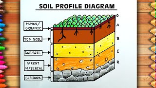 Soil Profile Diagram Easy  Layers Of Soil Chart  Layers of Soil Drawing  Diagram Of Soil Profile [upl. by Gussie819]