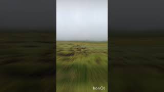 Beautiful Landscape trending nature flowers travel ytshorts youtubeshorts shorts short vlog [upl. by Arhna152]