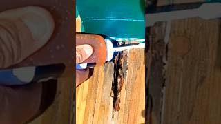 Abatron Liquid wood woodrotdeckrepair diy howto woodrot woodrefinishing [upl. by Ahtinak]