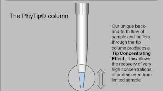 PhyNexus Tip Concentrating Effect Short version [upl. by Masry]