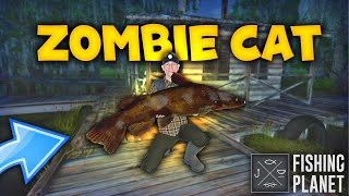 POTRAGA ZA NAJVECEG SOMA U JEZERU  Fishing Planet ZOMBIE CAT Monster Quanchkin Lake [upl. by Nauqaj47]