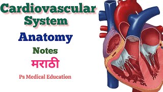 CARDIOVASCULAR SYSTEM  ANATOMY AND PHYSIOLOGY  GNM 1st YEAR  GNM NURSING CLASSES IN MARATHI [upl. by Simah902]