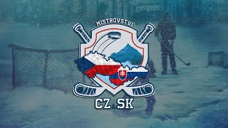 🔴LIVE Majstrovstvá Česka a Slovenska v rybníkovom hokeji 2024  Mestský Park [upl. by Roanna]