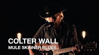 Colter Wall  Mule Skinner Blues  First Play Live [upl. by Nebe357]