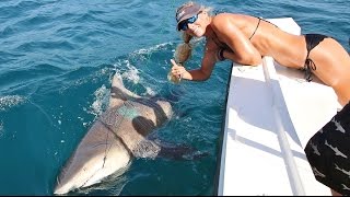 Florida Offshore Fishing Girl Lands 500lb Monster Shark [upl. by Ahgiela]