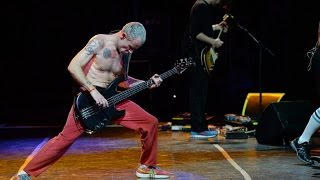 HQ Red Hot Chili Peppers  Cant Stop Lollapalooza Argentina 2014 [upl. by Ulrick]