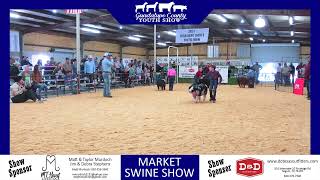 2024 Guadalupe County Youth Show [upl. by Olivier]