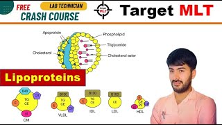 48 Lipoproteins HDL LDL VLDL chylomicron biochemistry AIIMS PGIMER DSSSB RML 2024 [upl. by Warfourd]