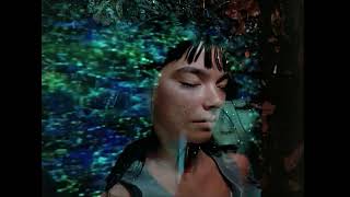 Björk  Hyperballad  Official 4K Music Video Radio Edit [upl. by Onitnevuj]