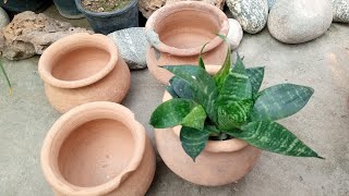 outdoor plant decoration  how to make decrators from useless things  ghar pe decorators bnayen [upl. by Fatimah983]