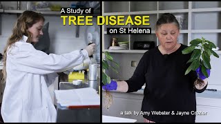 A Study of Tree Disease on St Helena  Amy Webster amp Jayne Crozier [upl. by Jonny]