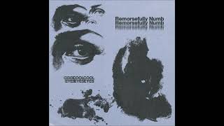 Remorsefully Numb  Cool Eyes Full Album [upl. by Schluter]