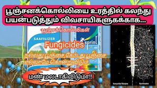 நெல் வயலில் உரத்தில் பூஞ்சை கொல்லி பயன்படுத்துவந்தால் ஏற்படும் தீமைகள் என்ன [upl. by Boni391]