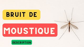 Bruit de moustique et description 🦟 Le bruit dun moustique son de moustique 🦟 [upl. by Notsud699]