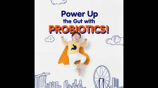 Bifidobacterium lactis  Helps maintain a Healthy Digestive System  40s [upl. by Annaul]