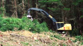 Harvester Tigercat LH855C with Directional Felling Head [upl. by Erdeid302]