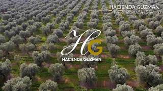 Descubre el proceso de producción de HG [upl. by Dulciana360]