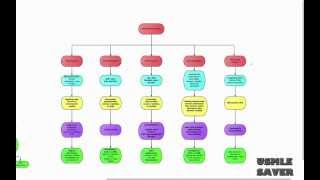 Valvular heart disease flowchart USMLE Step 2 CK [upl. by Ennovi876]