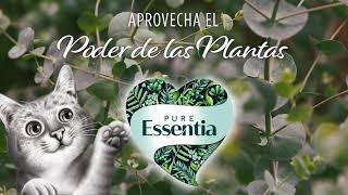 Sanicat Pure Essentia [upl. by Schechter]