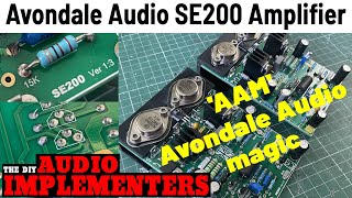 The Avondale Audio SE200 power amplifier modules [upl. by Wootan255]