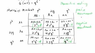 Nonrandom mating 1 introduction [upl. by Nosaj]