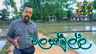 Gamata Namak  වලස්මුල්ල  Walasmulla [upl. by Cas379]