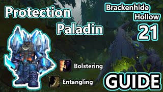 Mythic 21 BRACKENHIDE HOLLOW Protection Paladin Guide and Full Dungeon Walkthrough [upl. by Kuster]