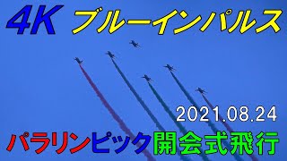 ブルーインパルス パラ開会式 展示飛行 新宿御苑 20210824 [upl. by Nanon]