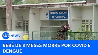 Bebê de 8 meses morre por covid e dengue no Distrito Federal  SBTNewsnaTV 040324 [upl. by Mariandi]